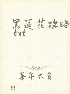 黑莲花攻略手册 txt