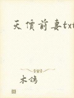 天价前妻txt