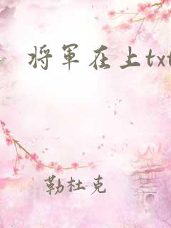 将军在上txt