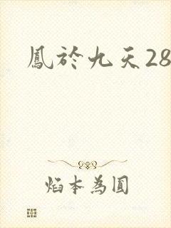 凤于九天28