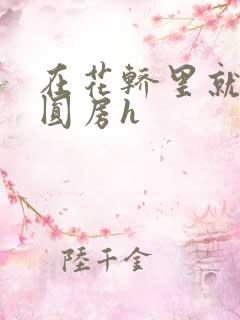 在花轿里就开始圆房h