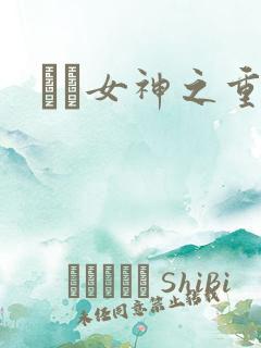 鹡鸰女神之重生