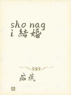 sho nagi 结婚