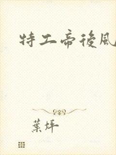 特工帝后风九少