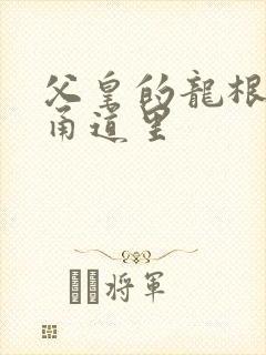 父皇的龙根在我甬道里