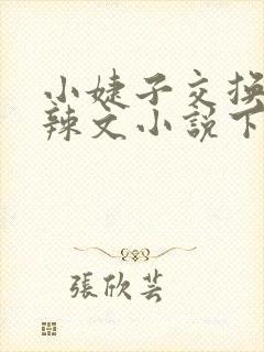 小婕子交换系列辣文小说下载