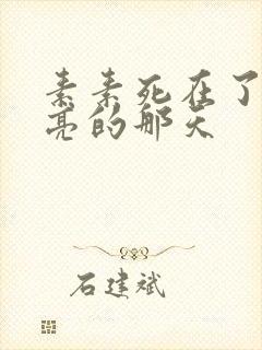 素素死在了最漂亮的那天