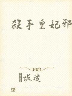 杀手皇妃邪魅帝