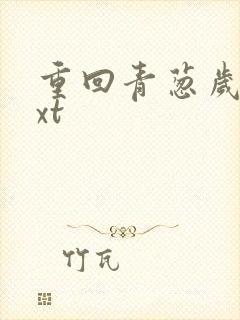 重回青葱岁月txt