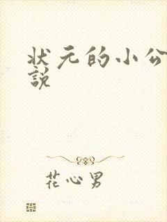 状元的小公主小说