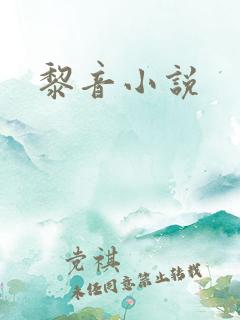 黎音小说
