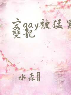宏gay被猛男双龙