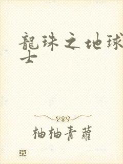 龙珠之地球人战士