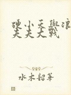 硬小天与浪小辉夫夫大战