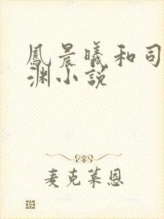 凤晨曦和司鸿颜渊小说