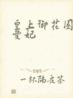 皇上御花园中要爱妃