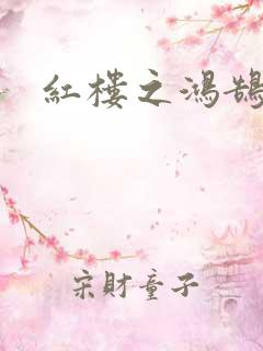 红楼之鸿鹄