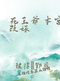 死王爷 本宫已改嫁