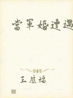 当军婚遭遇爱情