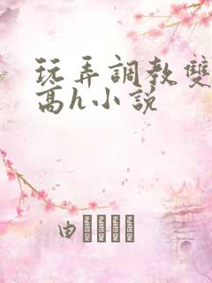 玩弄调教双胞胎高h小说