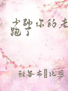 少帅你的老婆又跑了