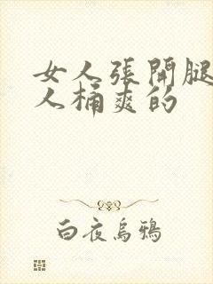 女人张开腿让男人桶爽的