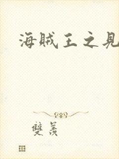 海贼王之见证者