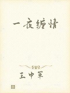 一夜缠情
