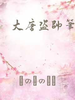 大唐盗帅笔趣阁