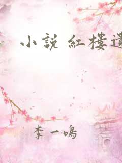 小说 红楼遗秘