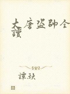 大唐盗帅全文阅读