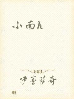 小南h