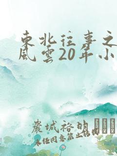 东北往事之黑道风云20年小说