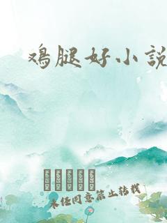 鸡腿好小说网