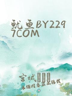 鱿鱼BY2297COM