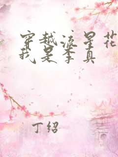 穿越流星花园之我是李真