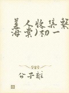 美人收集系统(海棠)初一