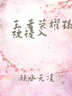 王者荣耀孙尚香被后入