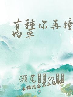 有种你再撞一下肉车