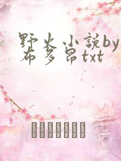 野火小说by夏布多昂txt