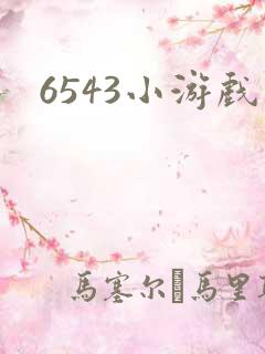 6543小游戏
