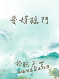 爱婿临门