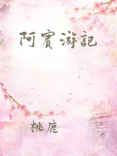阿宾游记