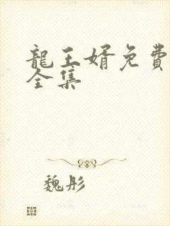 龙王婿免费完结全集