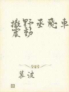 撒野丞飞车道具震动