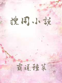 搜同小说