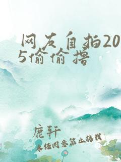 网友自拍2015偷偷撸