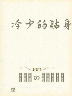 冷少的贴身女人