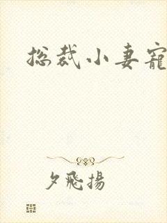 总裁小妻宠上天