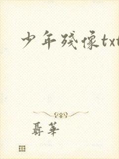 少年残像txt